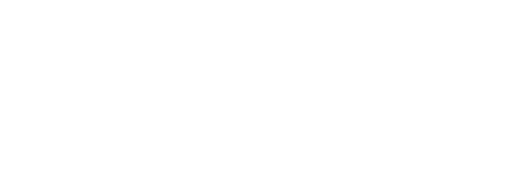 ROGU Costruzioni S.r.l.